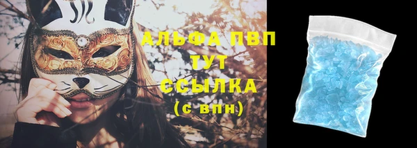 первитин Богданович