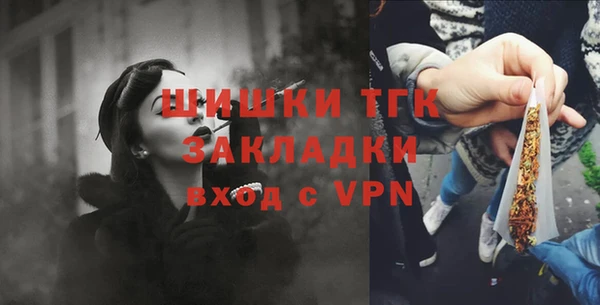 первитин Богданович