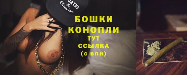 PSILOCYBIN Богородицк