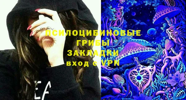 PSILOCYBIN Богородицк