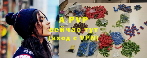 PSILOCYBIN Богородицк